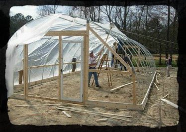 Pulling up the plastic3 hoophouse
