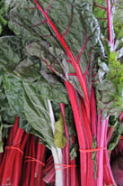 red swiss chard red swiss chard