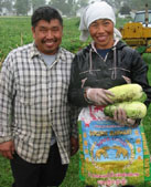 pochuavang_qhoualee pochuavang_qhoualee