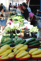 vendor